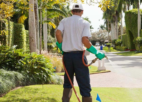 About Maricopa CA Pest Control